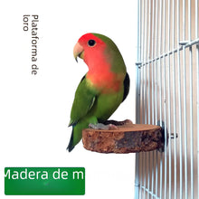 Load image into Gallery viewer, Apple Wood Parrot Stand and Swing Toy for Birds ITDinos®