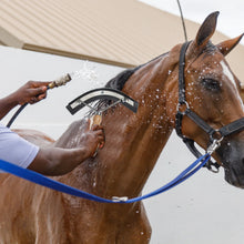 Load image into Gallery viewer, Horse Grooming Tool with Wooden Handle for Cleaning ITDinos®