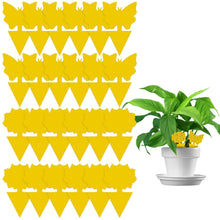Load image into Gallery viewer, Double-Sided Yellow Sticky Insect Trap for Gardens