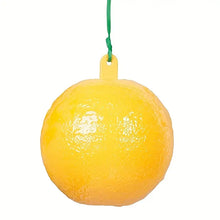 Load image into Gallery viewer, Hanging Fly Trap Ball for Outdoor Insect Control (1pc)