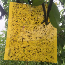 Load image into Gallery viewer, Insect Trap Yellow Board - Sticky Insect Catcher