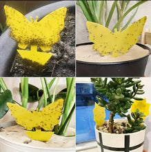 Load image into Gallery viewer, 100pcs Yellow Sticky Traps for Fruit Flies & Gnats