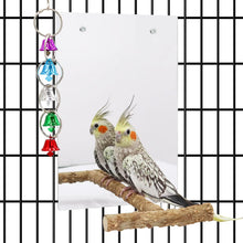 Load image into Gallery viewer, Large Bird Stand Perch with a Mirror and Bells Bird Mirror for Cage Bird Toys Parrot Perch Stand Bird Cage Accessories for African Grey Budgie Cockatiel Lovebird Conure Small to Medium Birds ITDinos®