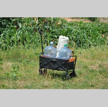 Load image into Gallery viewer, Mini Folding Trolley ITDinos®