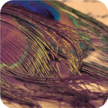 Load image into Gallery viewer, Ethnic Style Peacock Feather Earrings for Travelers ITDinos®