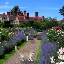 Lade das Bild in den Galerie-Viewer, Bug Me Not Solar- und Ultraschall-Schädlingsbekämpfer