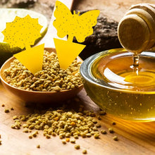 Load image into Gallery viewer, 100pcs Yellow Sticky Traps for Fruit Flies & Gnats