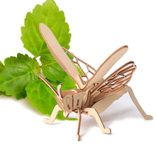 Load image into Gallery viewer, DIY Wooden Insect Model Puzzle for Kids (3D Craft) ITDinos®