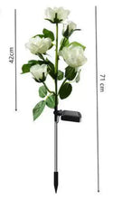 Load image into Gallery viewer, Color-Changing Solar Garden Roses