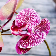 Lade das Bild in den Galerie-Viewer, Künstliche 6-köpfige Phalaenopsis-Orchidee