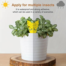 Load image into Gallery viewer, 100pcs Yellow Sticky Traps for Fruit Flies & Gnats
