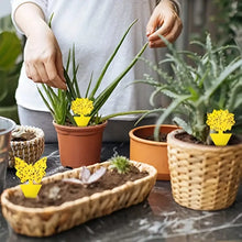 Load image into Gallery viewer, 100pcs Yellow Sticky Traps for Fruit Flies & Gnats