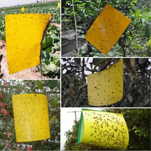 Load image into Gallery viewer, Insect Trap Yellow Board - Sticky Insect Catcher