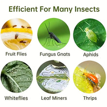 Load image into Gallery viewer, 100pcs Yellow Sticky Traps for Fruit Flies & Gnats