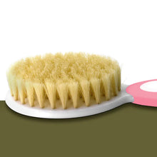 Load image into Gallery viewer, Children's Comb Brush Set for Dandruff and Bath Use ITDinos®