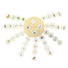 Load image into Gallery viewer, Montessori Wooden Animal Life Cycle Puzzle for Kids ITDinos®