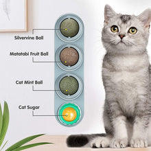 Load image into Gallery viewer, Catnip Wall Ball Toys for Cats Itdinos