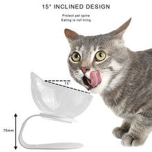 Load image into Gallery viewer, Pet Double Cat Bowl With Raised Stand Itdinos
