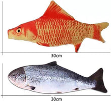 Load image into Gallery viewer, Interactive Electric floppy Fish Cat toy Itdinos