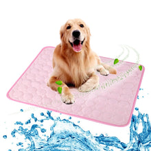 Load image into Gallery viewer, Pet Pad Summer Cooling Mat Dog Beds Mats Blue Pet Ice Pad Cool Cold Silk Moisture-Proof Cooler Mattress Cushion Puppy Itdinos
