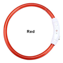 Load image into Gallery viewer, LED Dog Collar USB Charging Flashing Night Cat Collars Luminous Anti-Lost Avoid Car Accident Safety Pets Harnesses Leads Itdinos