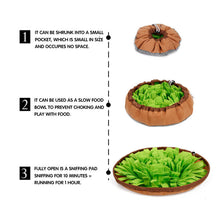 Load image into Gallery viewer, Doglemi Dog Snuffle Mat Puppy Cat Pet Sniffing Pad Slow Feeding Bowel And Mat Puppy Activity Training Blanket Stress Relea Itdinos