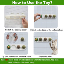 Load image into Gallery viewer, Catnip Wall Ball Toys for Cats Itdinos