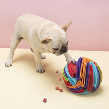 Load image into Gallery viewer, Pet Snuffle Ball Toy Itdinos