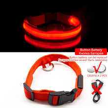 Load image into Gallery viewer, USB Charging Led Dog Collar Itdinos