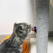 Load image into Gallery viewer, Cat Candy Treat Itdinos