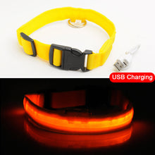 Load image into Gallery viewer, USB Charging Led Dog Collar Anti-Lost/Avoid Car Accident Collar Itdinos