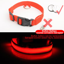 Load image into Gallery viewer, USB Charging Led Dog Collar Anti-Lost/Avoid Car Accident Collar Itdinos