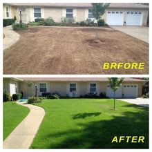 Load image into Gallery viewer, 20×300cm Lawn blanket Grass Seed Mat Fertilizer Garden Picnic Gardening Lawn Planting Mat 2020 Hot Sale Dropping Garden Supplies Itdinos