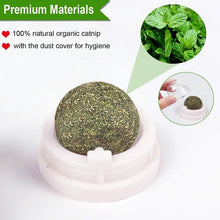 Load image into Gallery viewer, Catnip Wall Ball Toys for Cats Itdinos