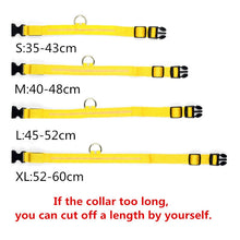 Load image into Gallery viewer, Rechargable Dog LED Flashing Collar Itdinos