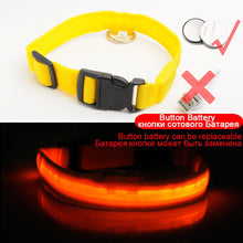Load image into Gallery viewer, USB Charging Led Dog Collar Anti-Lost/Avoid Car Accident Collar Itdinos