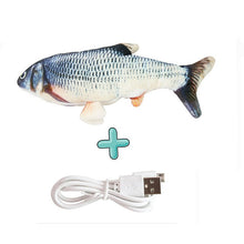 Load image into Gallery viewer, Interactive Electric floppy Fish Cat toy Itdinos
