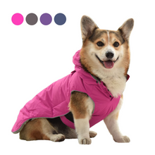 Load image into Gallery viewer, Dog Coat Winter Jacket Itdinos