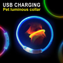 Load image into Gallery viewer, LED Dog Collar USB Charging Flashing Night Cat Collars Luminous Anti-Lost Avoid Car Accident Safety Pets Harnesses Leads Itdinos