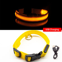 Load image into Gallery viewer, USB Charging Led Dog Collar Itdinos
