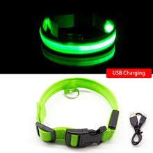 Load image into Gallery viewer, USB Charging Led Dog Collar Itdinos