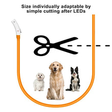 Load image into Gallery viewer, LED Dog Collar USB Charging Flashing Night Cat Collars Luminous Anti-Lost Avoid Car Accident Safety Pets Harnesses Leads Itdinos