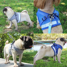 Lade das Bild in den Galerie-Viewer, Reflective Safety Pet Dog Harness and Leash Set for Small Medium Dogs Cat Harnesses Vest Puppy Chest Strap Pug Chihuahua Bulldog Itdinos