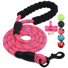 Load image into Gallery viewer, Durable Nylon Dog harness Color 1.5M Pet Dog Leash Walking Training Leash Cats Dogs Leashes Strap Dog Belt Rope Itdinos