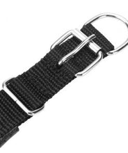 Load image into Gallery viewer, GPS Dog Collar Itdinos