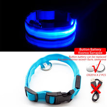 Load image into Gallery viewer, USB Charging Led Dog Collar Itdinos