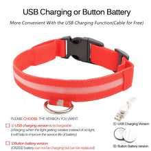 Load image into Gallery viewer, USB Charging Led Dog Collar Anti-Lost/Avoid Car Accident Collar Itdinos