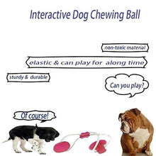 Load image into Gallery viewer, Dog Chew Toy With Suction Cup Itdinos