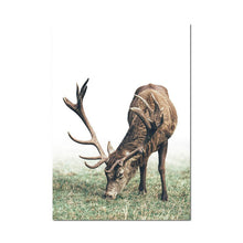 Lade das Bild in den Galerie-Viewer, Scandinavian Poster Nordic Style Deer Wood Wall Art Canvas Itdinos