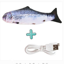 Load image into Gallery viewer, Interactive Electric floppy Fish Cat toy Itdinos